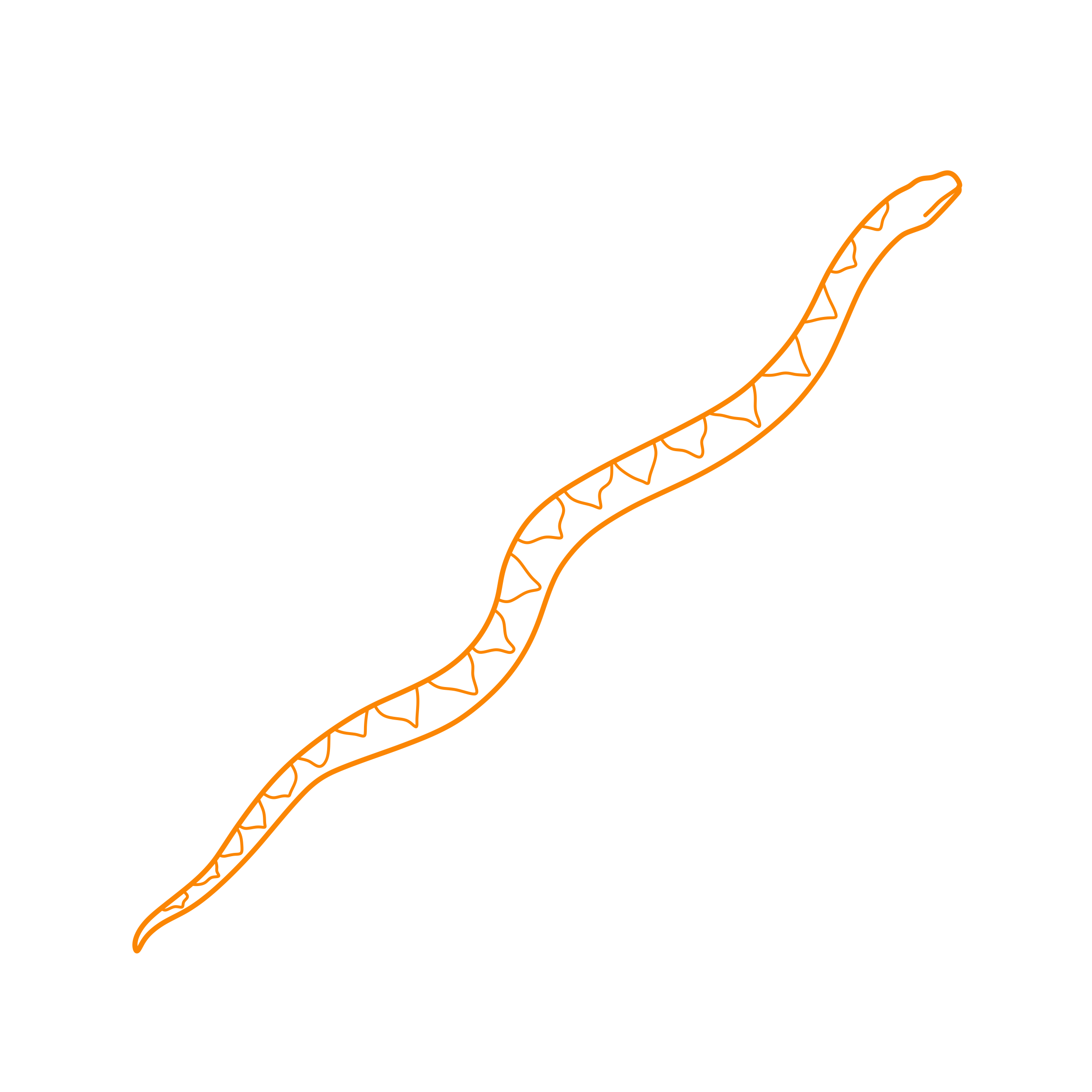 Animals Snakes Atlantic Bushmaster Sketch Style Svg Vector Free Vectors